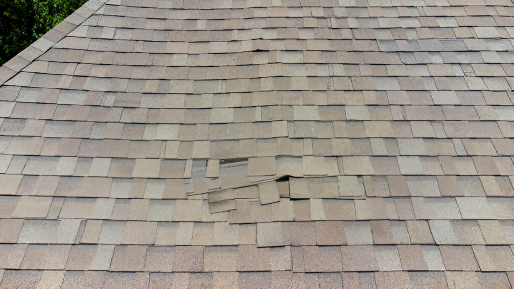 Rubber Roofing