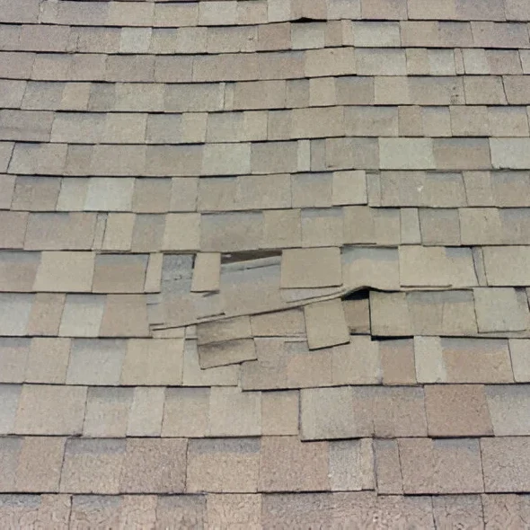 Roof Shingles